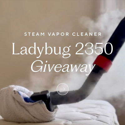 Ladybug 2350 Giveaway