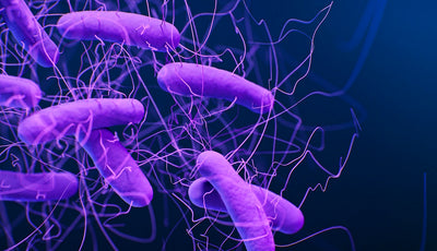 Science Says TANCS® Disinfecting Technology Kills C. difficile Spores in Seconds